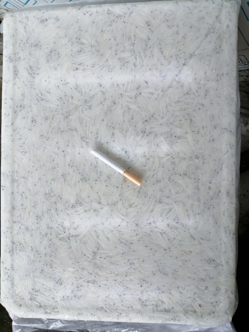 冻银鱼，银鱼冻板，冷冻银鱼，