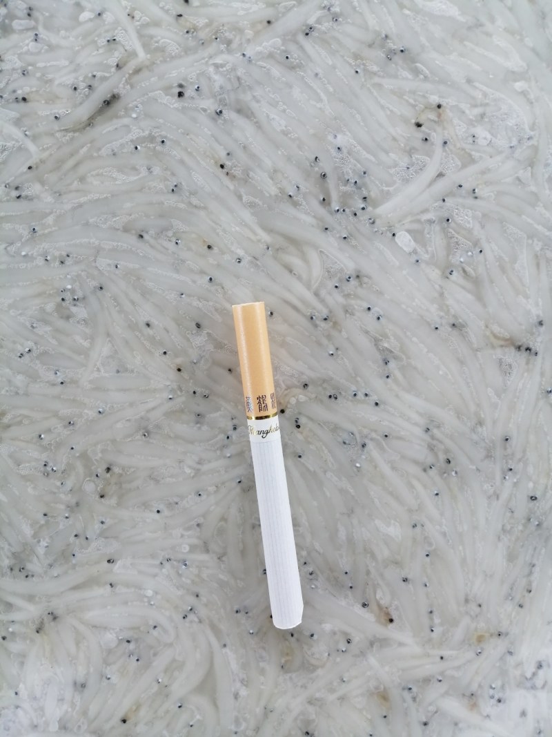 冻银鱼，银鱼冻板，冷冻银鱼，