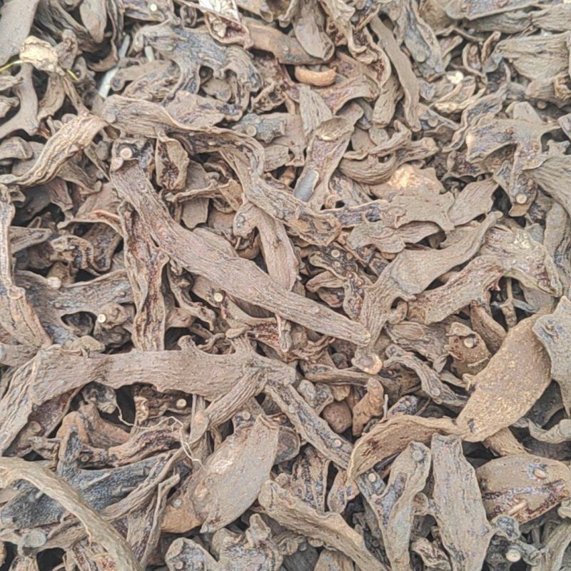 供应烤干货骨碎补