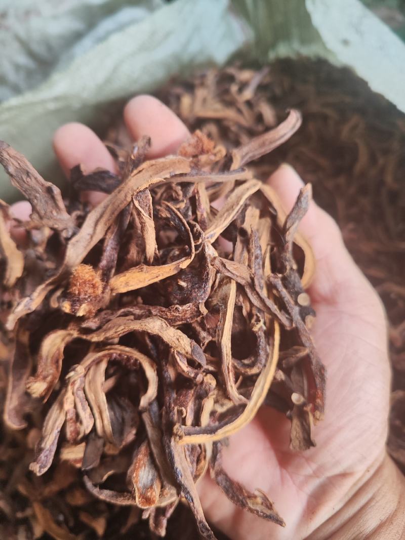 供应烤干货骨碎补