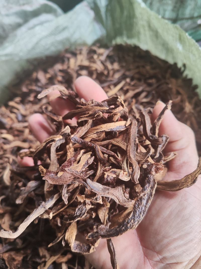 供应烤干货骨碎补
