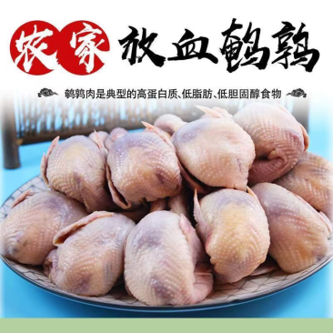大放血鹌鹑冷冻批发
