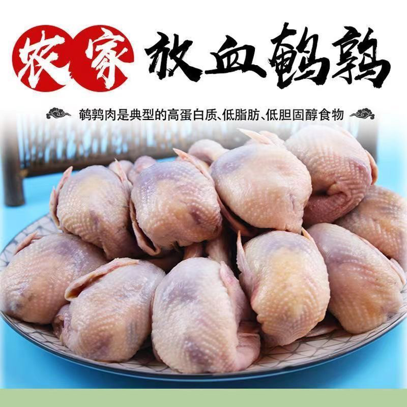 大放血鹌鹑冷冻批发