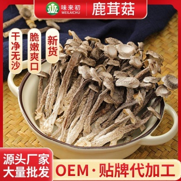 ［一件代发］鹿茸菇鹿茸菌食用菌干货包邮对接各大团购