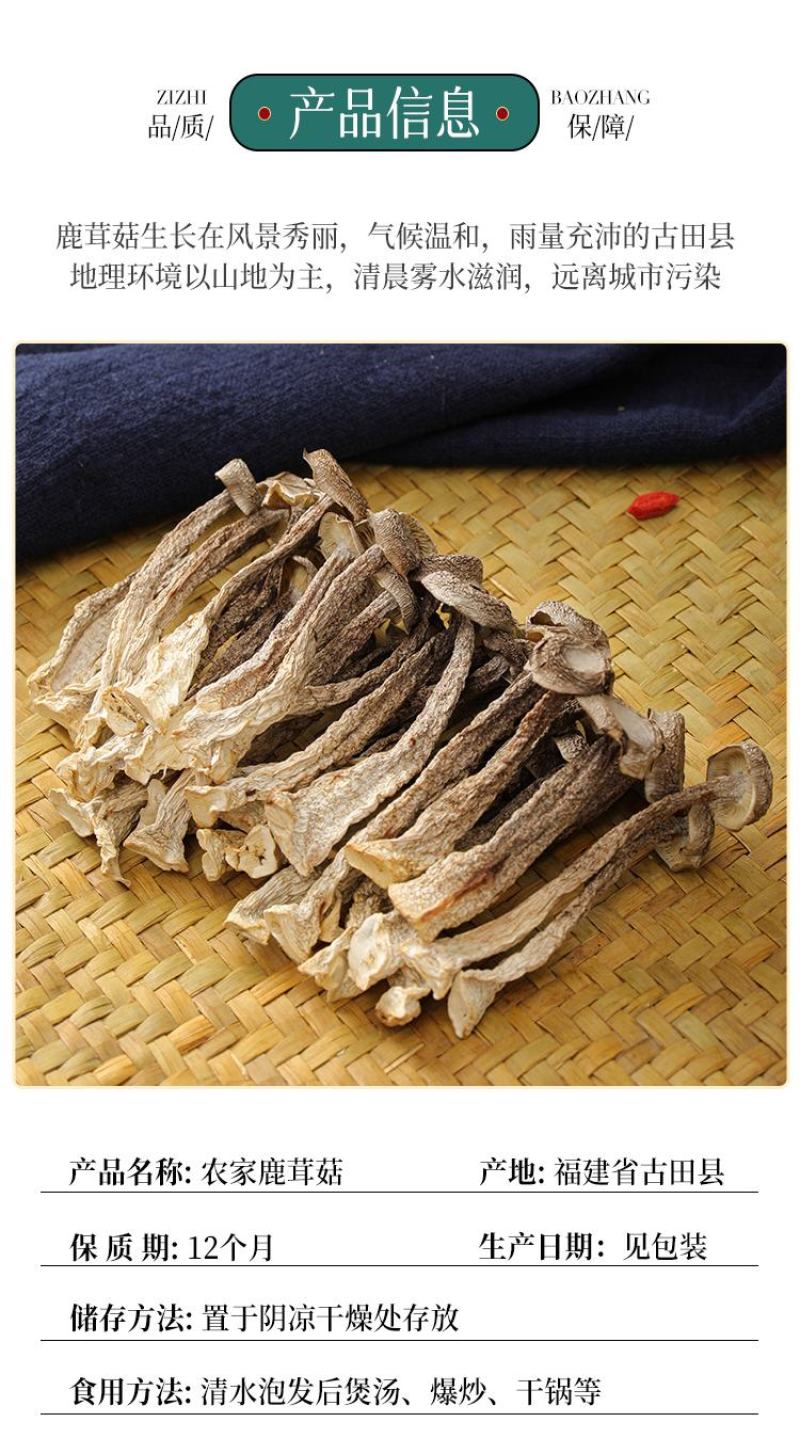 ［一件代发］鹿茸菇鹿茸菌食用菌干货包邮对接各大团购