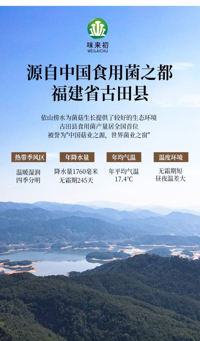 ［一件代发］鹿茸菇鹿茸菌食用菌干货包邮对接各大团购