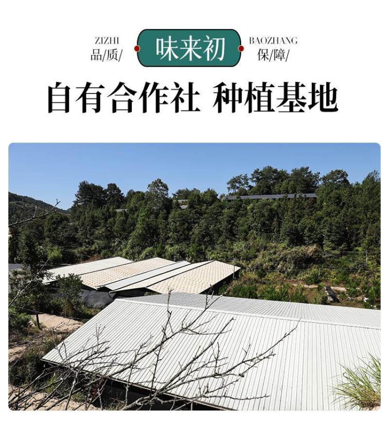 ［一件代发］鹿茸菇鹿茸菌食用菌干货包邮对接各大团购