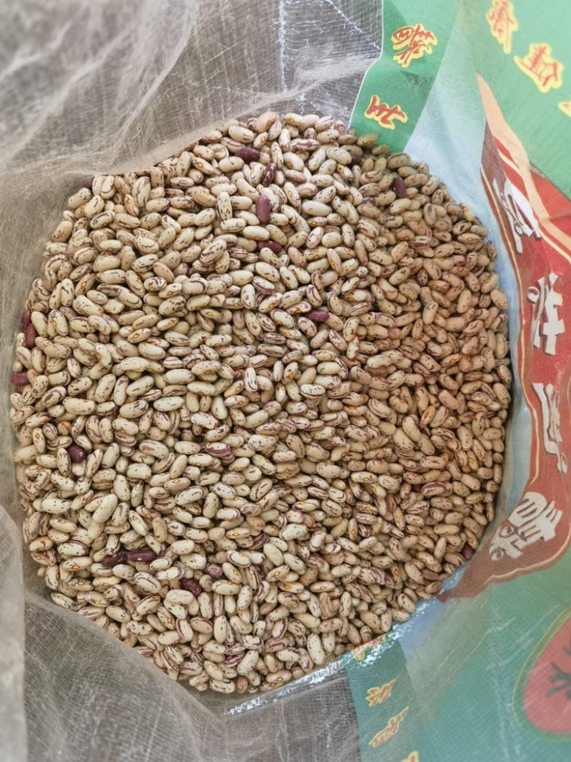 奶白花紫花产地直发