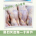 大放血鹌鹑冷冻批发