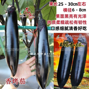 龙盛美糯香烤茄子种子四季烧烤茄子种籽油黑粗棒烧烤茄种子