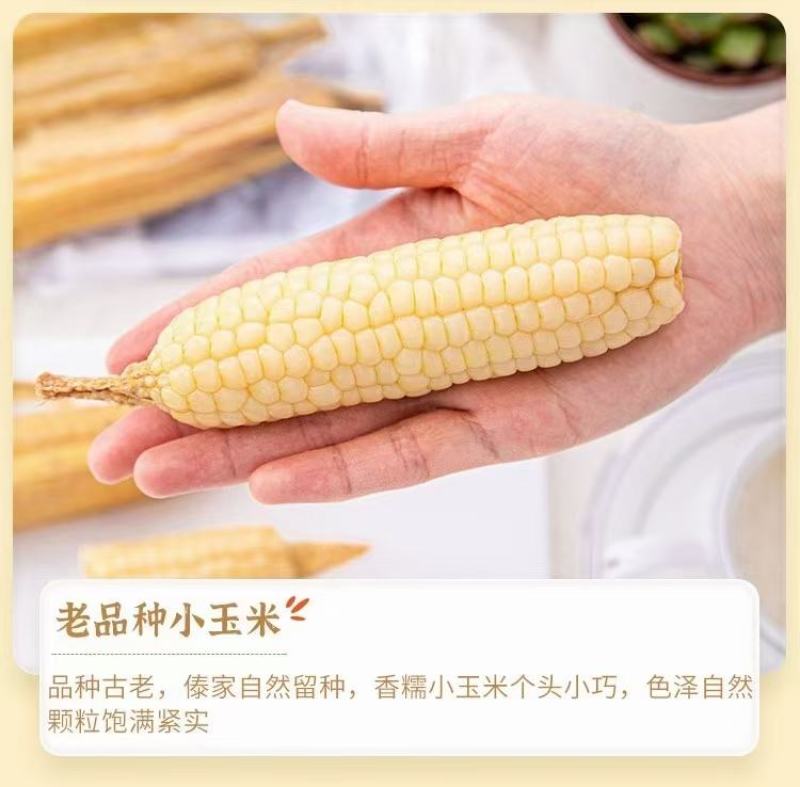 拇指玉米一件代发电商直播一件代发代加工全年有货