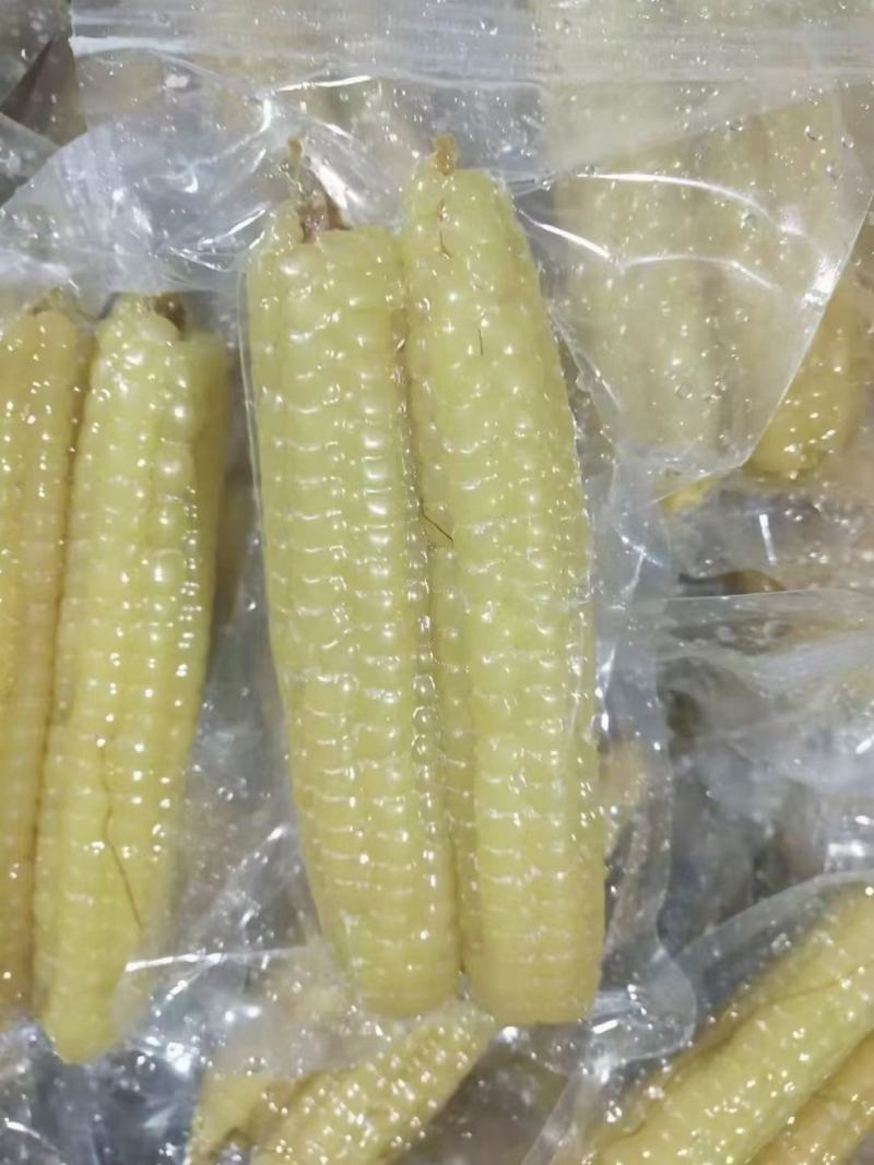 拇指玉米一件代发电商直播一件代发代加工全年有货