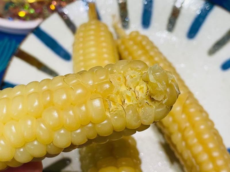 拇指玉米一件代发电商直播一件代发代加工全年有货