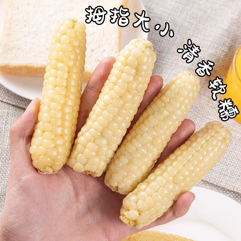 拇指玉米一件代发电商直播一件代发代加工全年有货