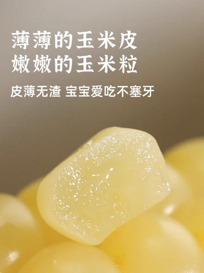 拇指玉米一件代发电商直播一件代发代加工全年有货