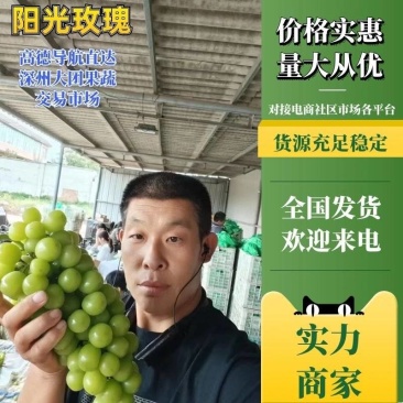 【好货不贵】阳光玫瑰电商货通货和精品货！筐装冷棚鲜货