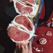 0.4福建红心蜜柚大量上市，红心柚自己工厂加工，价格低