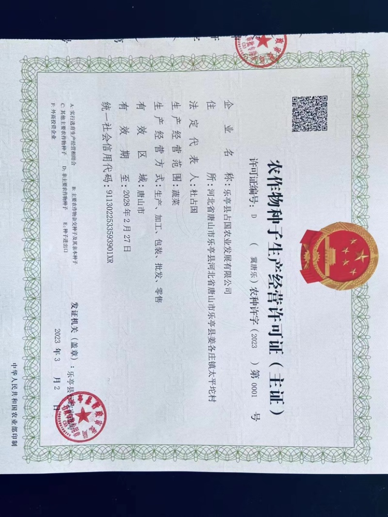 常年产地供应优质豌豆种子中豌六号九号甜豌豆