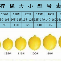 长期供应各规格型号
