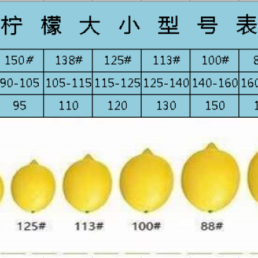 长期供应各规格型号