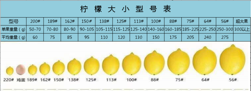 长期供应各规格型号