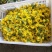 【小黄瓜花】山东省寿光市精品小黄瓜花，全年有货，全国发货