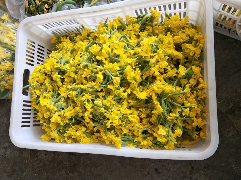 【小黄瓜花】山东省寿光市精品小黄瓜花，全年有货，全国发货
