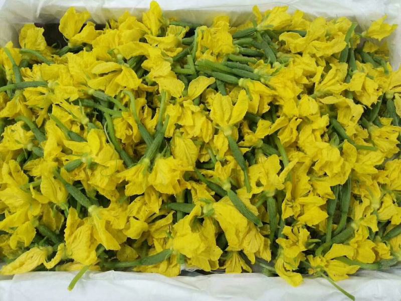 【小黄瓜花】山东省寿光市精品小黄瓜花，全年有货，全国发货
