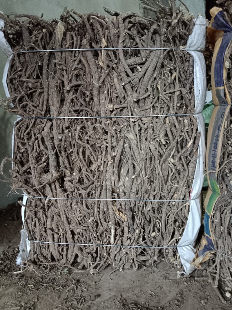 金雀根