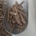 一枝蒿，一枝蒿，无硫产地直发现货，24小时内发货