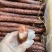 纯烟熏川味香肠(腊肉香肠源头工厂一手货源量大从优)