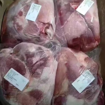 山东临沂2号肉精肉品质保证全国发货