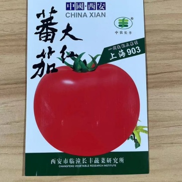 大红番茄种子