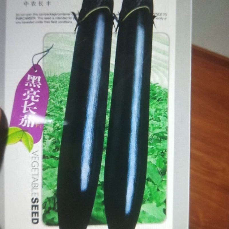 黑亮长茄种子