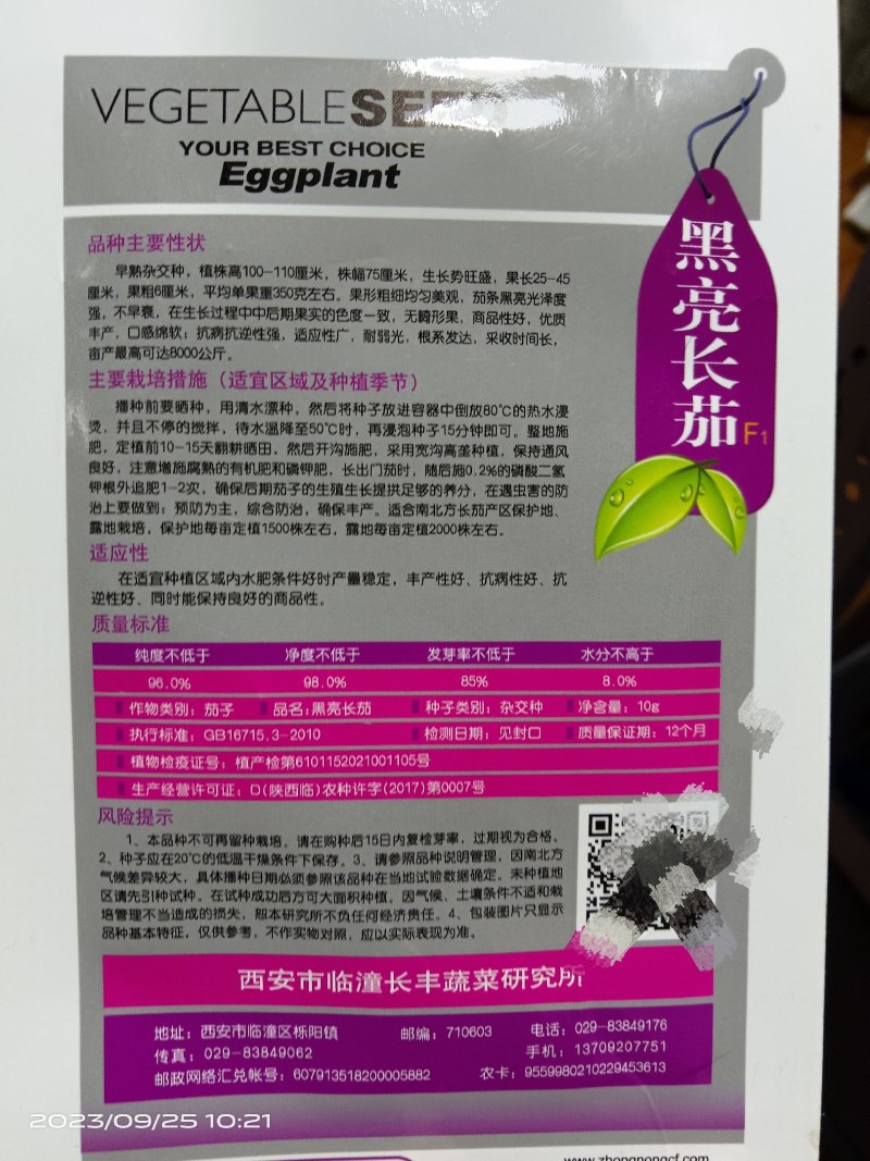 黑亮长茄种子
