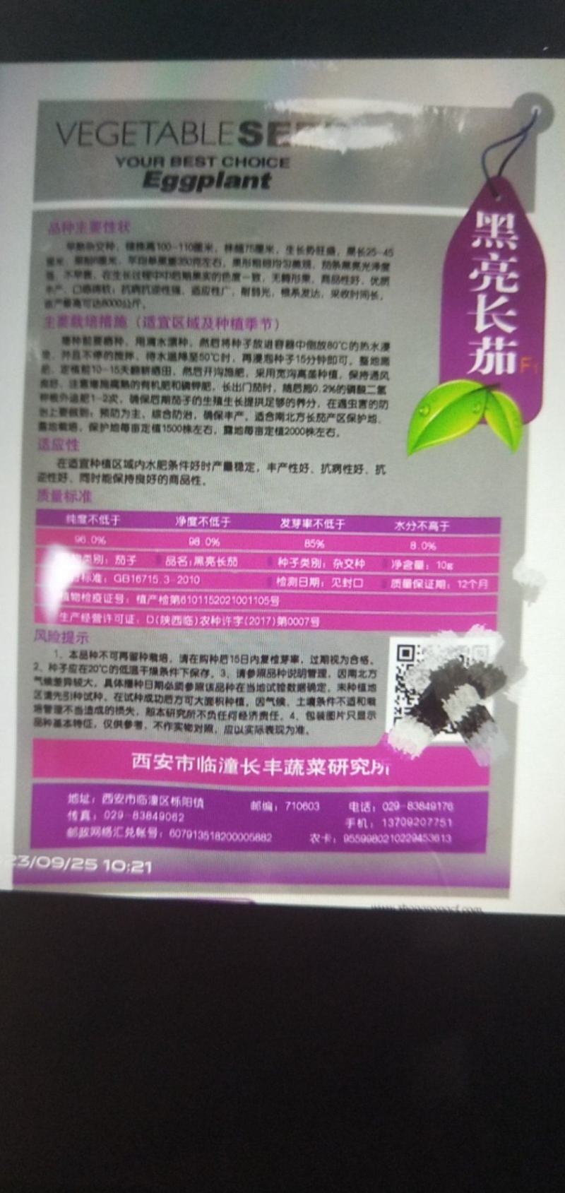黑亮长茄种子