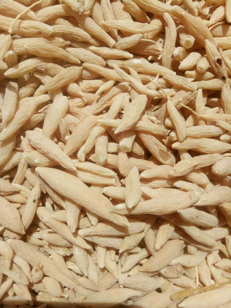 供应山区麦冬颗粒干货野麦冬
