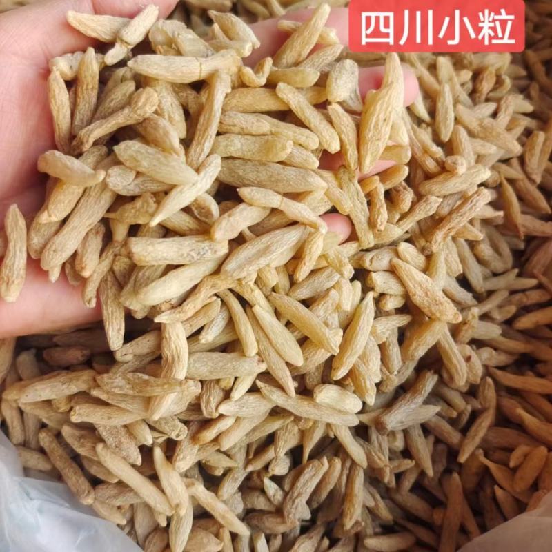 四川麦冬大货批发常年供货量大从优