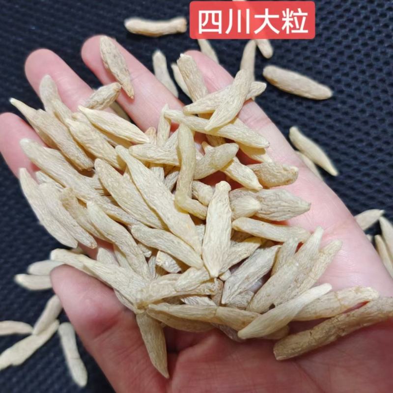四川麦冬大货批发常年供货量大从优