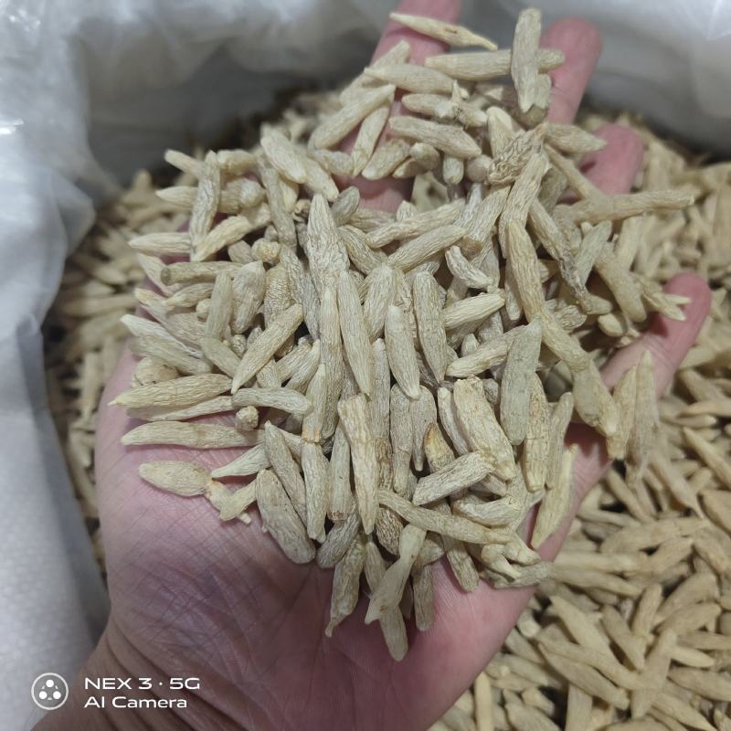 四川麦冬大货批发常年供货量大从优