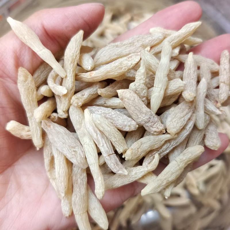 四川麦冬大货批发常年供货量大从优