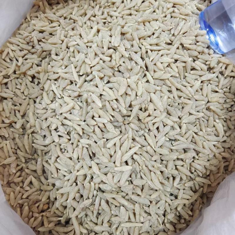 四川麦冬大货批发常年供货量大从优