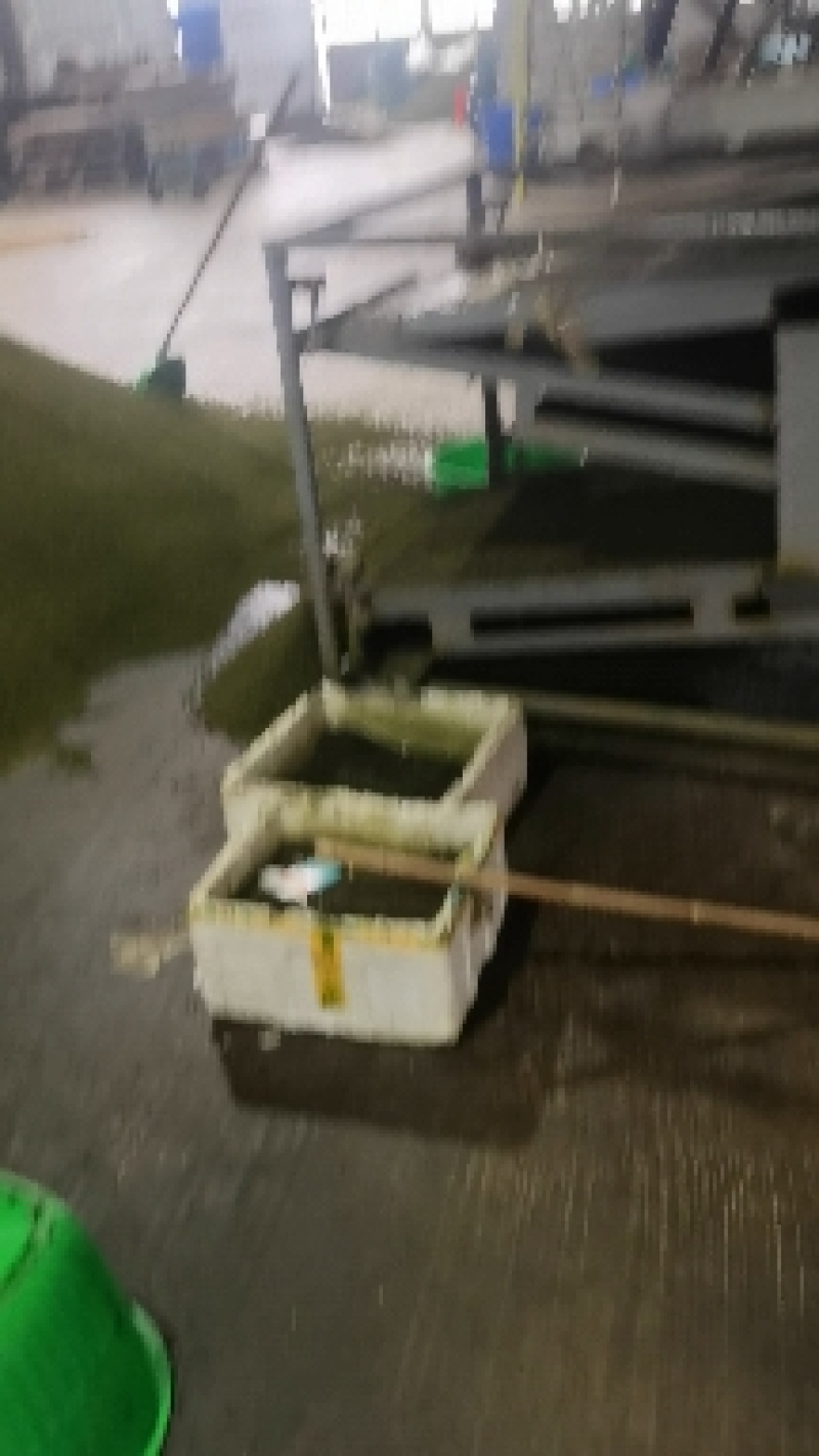 青花椒，开口率60%，江津青花椒，重庆花椒，大量供应