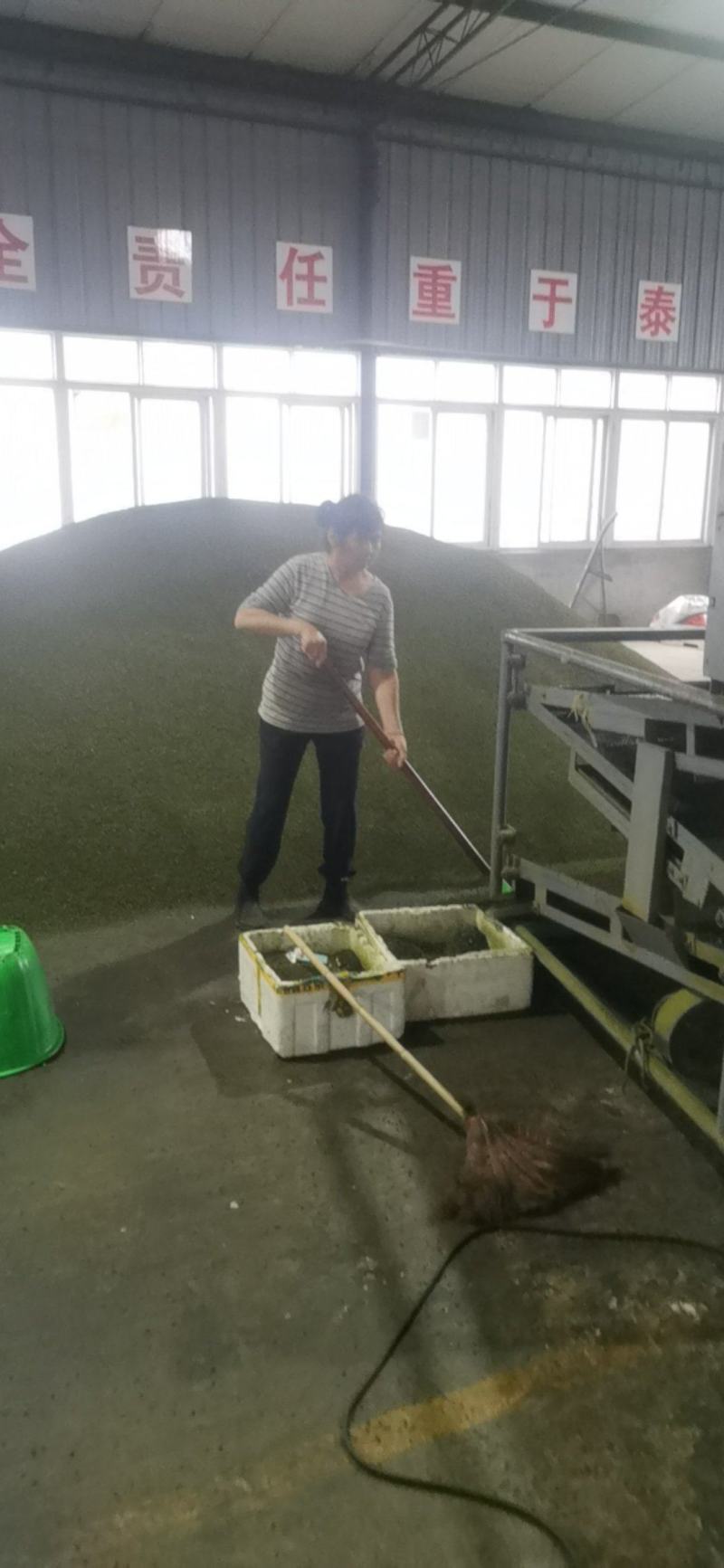 青花椒，开口率60%，江津青花椒，重庆花椒，大量供应