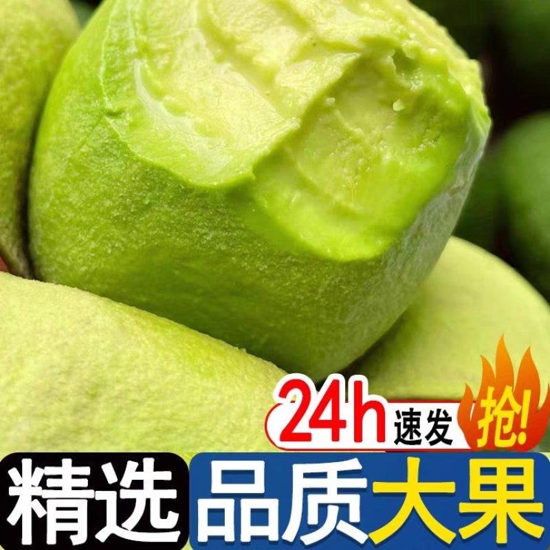 哈斯牛油果一件代发支持电商一件代发直播平台挂链接