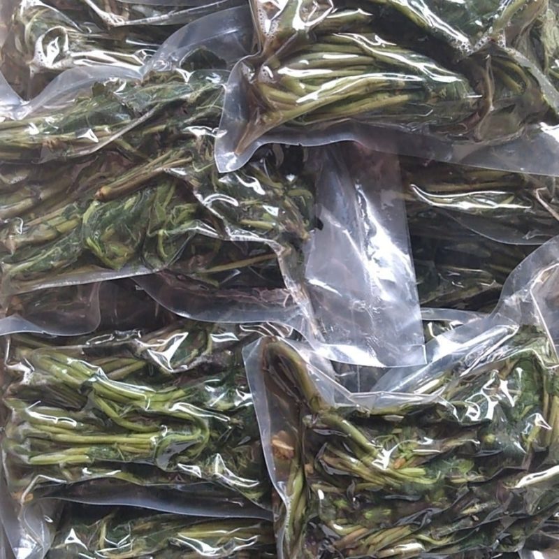 盐渍香椿芽，常年供货，质量保证，欢迎大客户莅临洽谈。