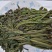 盐渍香椿芽，常年供货，质量保证，欢迎大客户莅临洽谈。