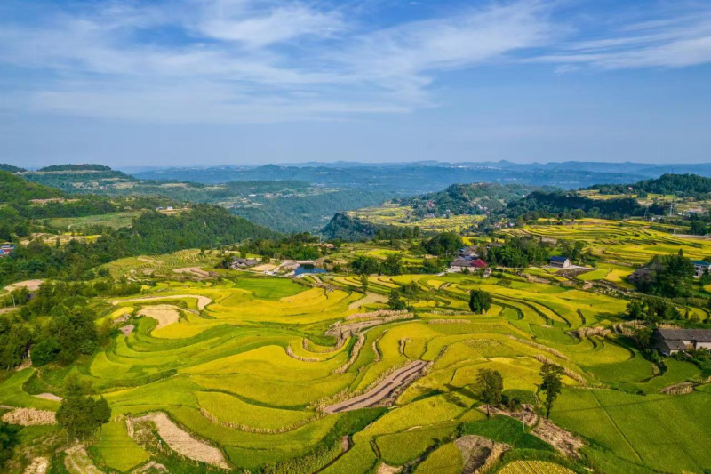 堡子高山新米，土鸡蛋。