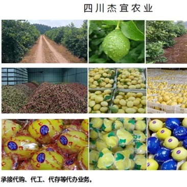 代购、代工、代存