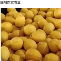 大果专卖